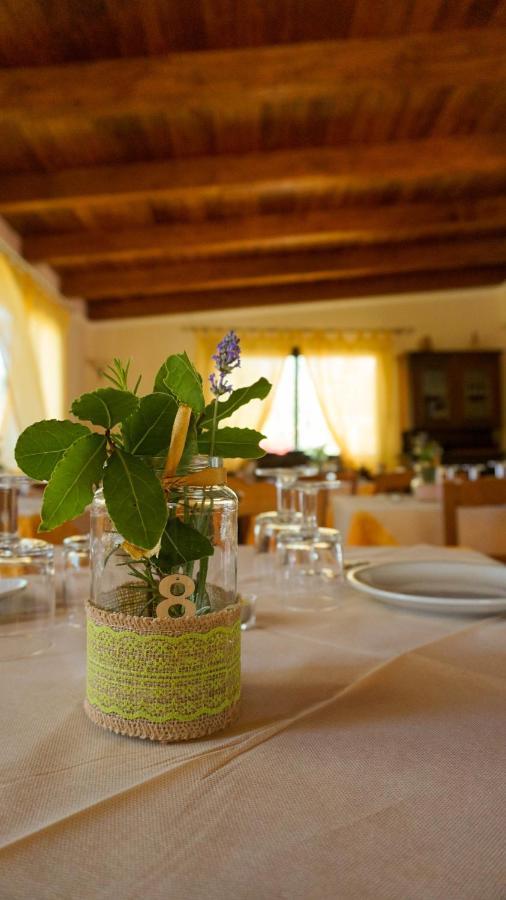 Agriturismo Azzarone Vieste Bagian luar foto
